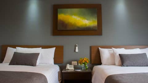 Eco Hotel Guadalajara Expo — photo 7