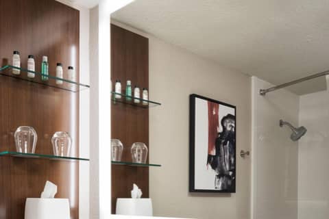 Delta Hotels by Marriott Minneapolis Northeast — photo 9