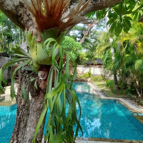 The Royal Beach Seminyak Bali — photo 9