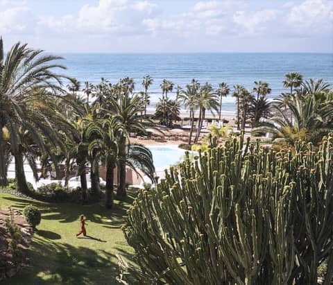 The Oasis by Don Carlos Resort — recepcion & lobby