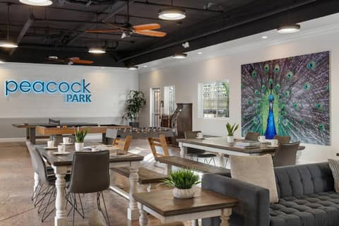 Peacock Suites — photo 9