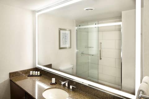 Embassy Suites by Hilton Atlanta Galleria — bathroom