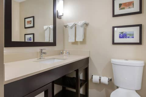 Comfort Suites - South Austin — photo 4