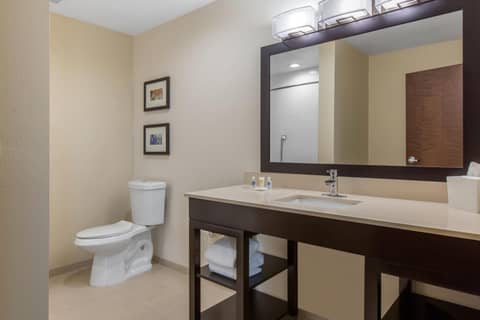Comfort Suites - South Austin — photo 6