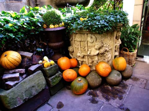 The Witchery — photo 8