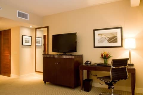 Millennium Hotel Knickerbocker Chicago — photo 8