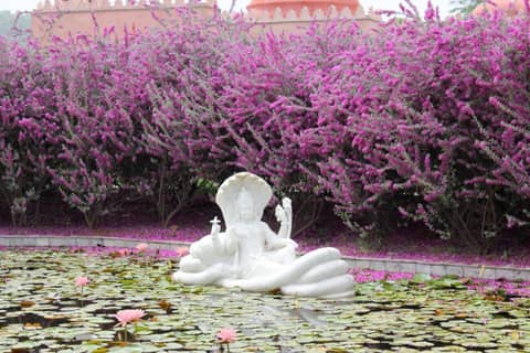 Tree of Life Resort & Spa, Jaipur — photo 4