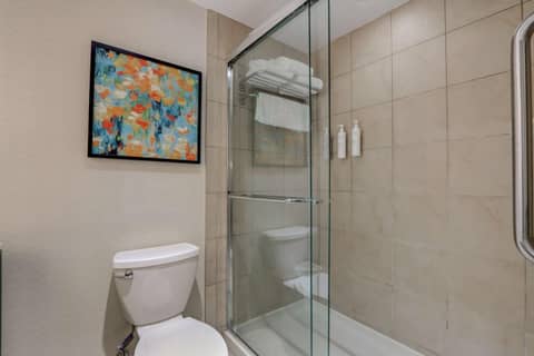 Hilton Garden Inn Indianapolis Northwest — bathroom