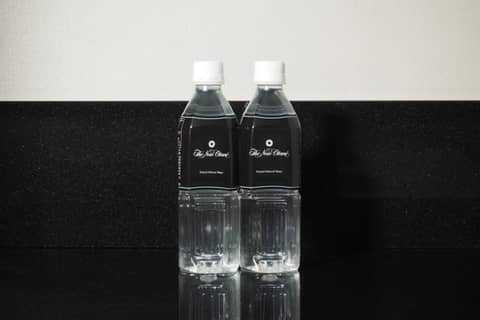 Hotel New Otani Tokyo The Main — photo 5