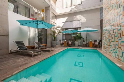 FCH Hotel Expo Adults only — recepcion & lobby
