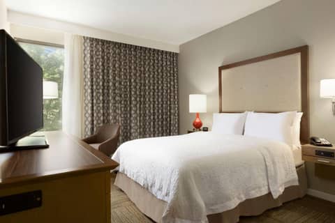 Hampton Inn Atlanta-Buckhead — photo 5
