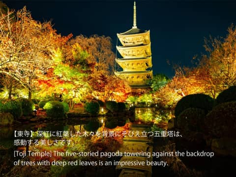 Hotel Resol Trinity Kyoto — photo 5