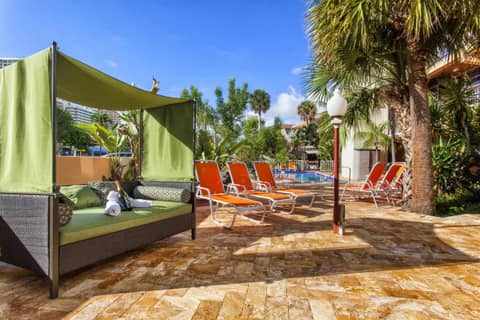 Ocean Beach Palace — recepcion & lobby