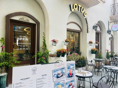 Lotus Home Cafe — photo 2