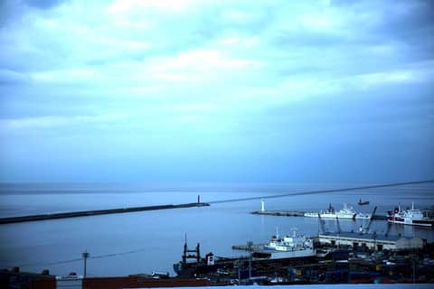 Harbor Hotel — photo 7