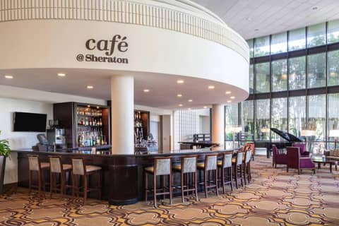 Sheraton Tampa Brandon Hotel — photo 4
