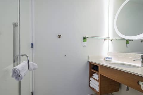SpringHill Suites by Marriott Tampa North/I 75 Tampa Palms — photo 7