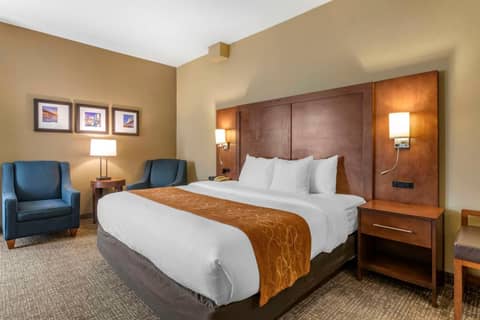 Comfort Suites Baymeadows Near Butler Blvd — photo 3