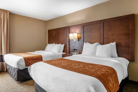 Comfort Suites Baymeadows Near Butler Blvd — photo 8