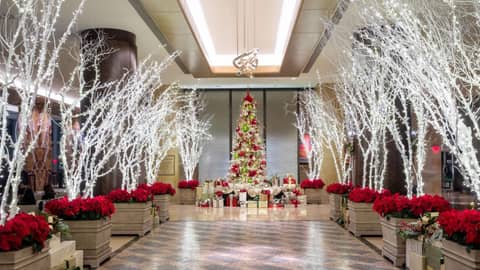 Hilton Americas - Houston — photo 2