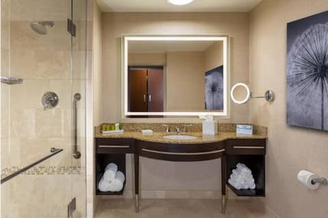 Hilton Americas - Houston — photo 9
