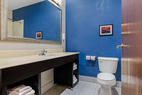 Comfort Suites St Charles-St Louis — photo 2