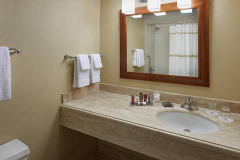 Toronto Airport Marriott Hotel — photo 3