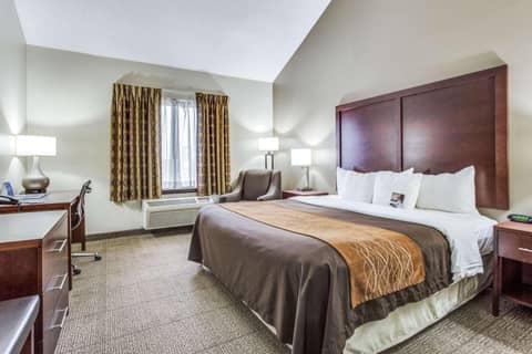 Comfort Inn & Suites Love Field-Dallas Market Center — photo 5