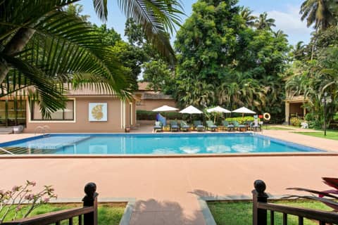 Seashell Suites and Villas - Candolim Goa — photo 6