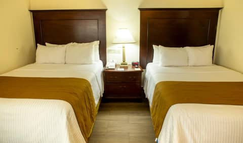 Hotel Plaza Calzada — photo 6