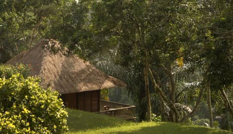 Alila Ubud — photo 6