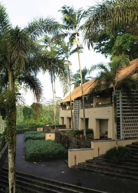 Alila Ubud — photo 9