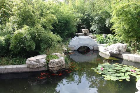 Beijing Asia Hotel — photo 8