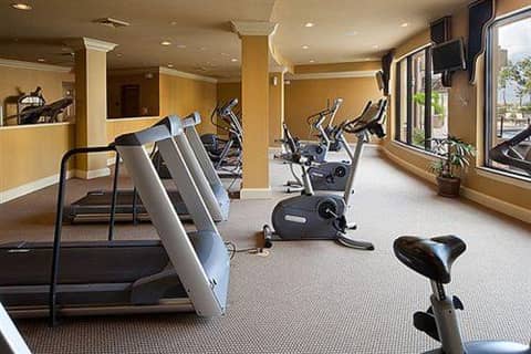 The Berkley, Orlando — activities & amenities