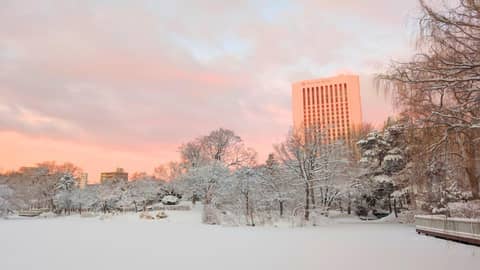Premier Hotel Nakajima Park Sapporo — photo 5