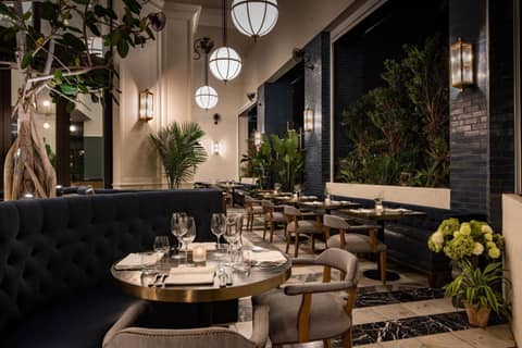 The Dalmar, Fort Lauderdale, a Tribute Portfolio Hotel — dining
