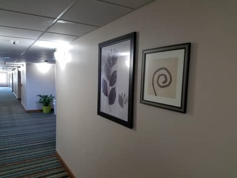 Country Inn & Suites by Radisson, Jacksonville - Orange Park — photo 3