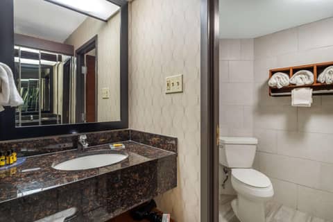 Best Western Plus Houston Energy Corridor — photo 9