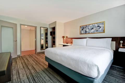 Hilton Garden Inn Houston/Galleria Area — photo 2