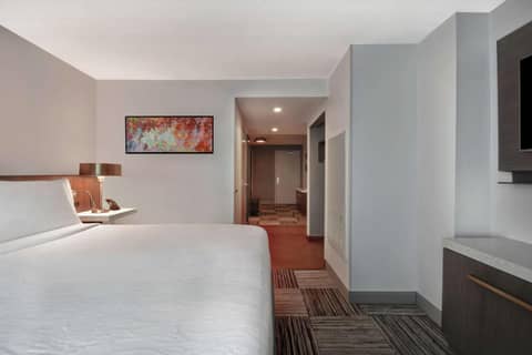 Hilton Garden Inn Houston/Galleria Area — photo 9
