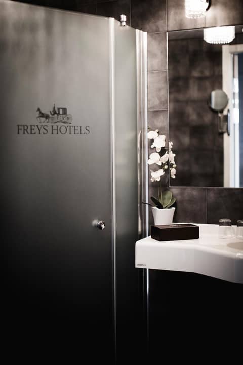 Freys Hotel — photo 8