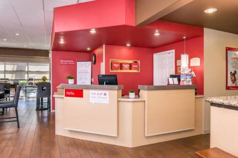 TownePlace Suites by Marriott Anaheim Maingate Near Angel Stadium — photo 5