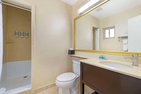 Best Western Royal Palace Inn & Suites — bathroom