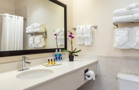 Best Western Plus Downtown Inn & Suites — photo 4