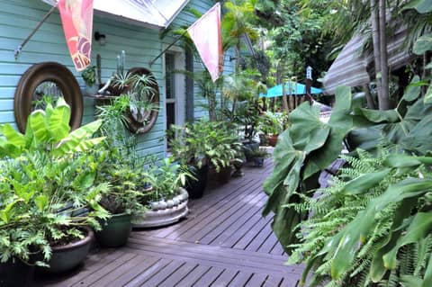 Pineapple Point Guesthouse & Resort - Gay Men's Resort — other