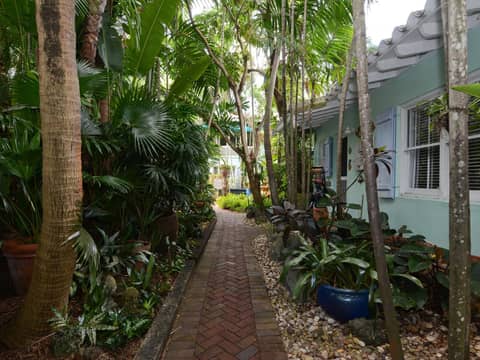 Pineapple Point Guesthouse & Resort - Gay Men's Resort — other