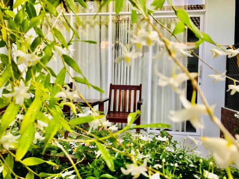 Sunlight Bungalow — photo 4