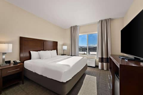 Comfort Inn & Suites Airport Convention Center — photo 4