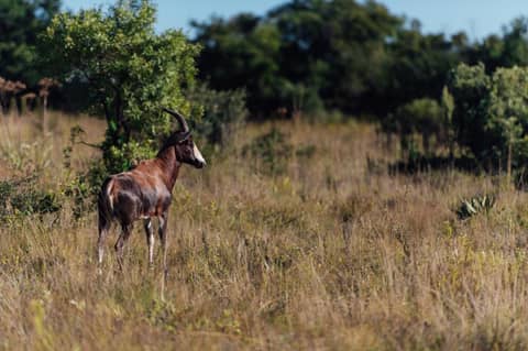 Thaba Eco Hotel — photo 4