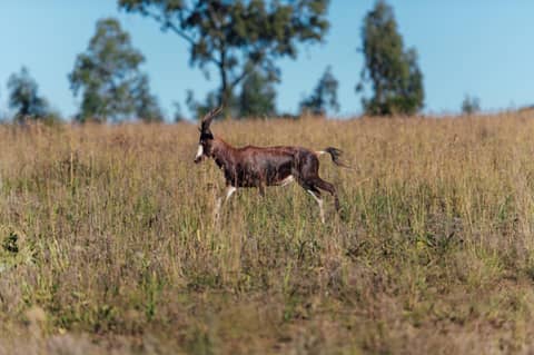 Thaba Eco Hotel — photo 9